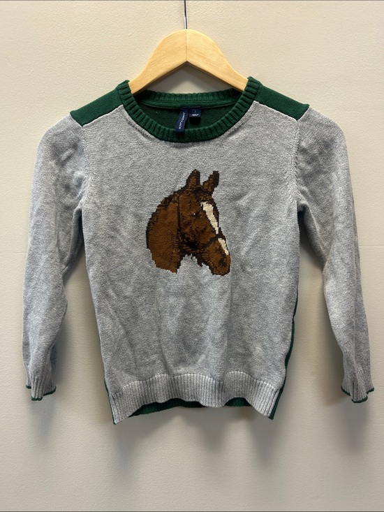 Janie and Jack Other - Equestrian Boy’s Horse Illustration Gray & Green Sweater